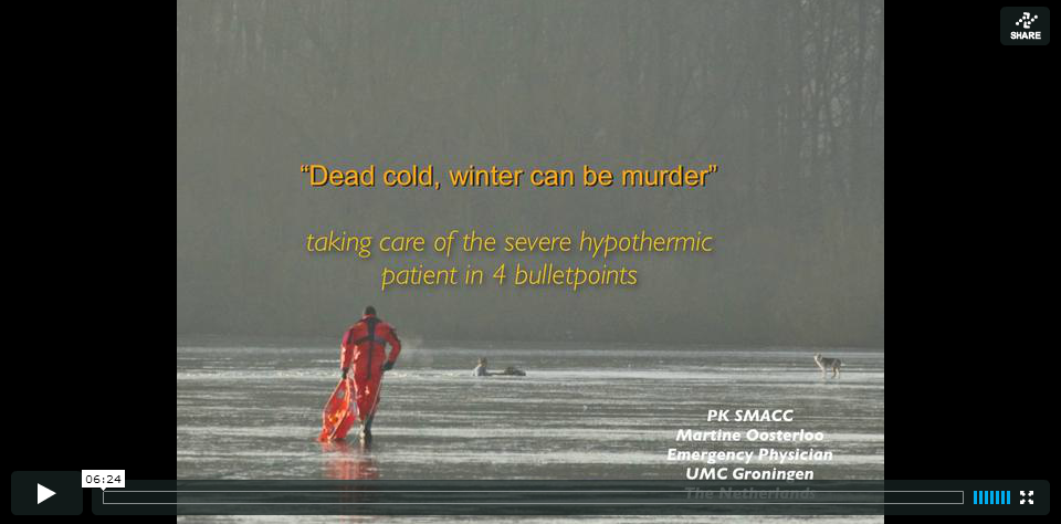 Dead cold, a murder in winter