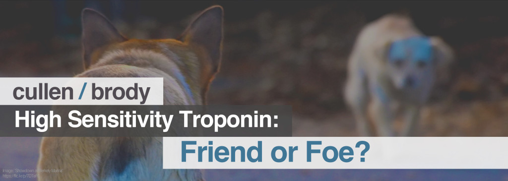 High Sensitivity Troponin: Friend or Foe?