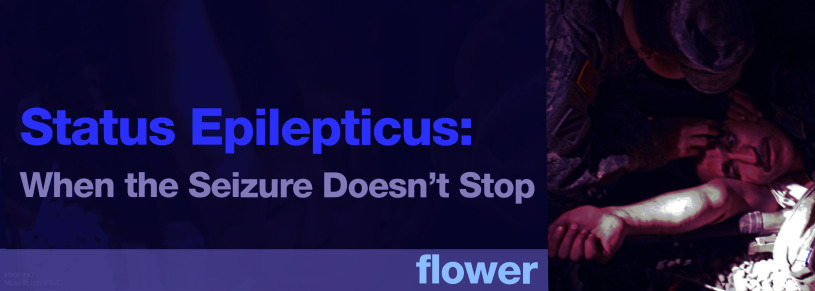 STATUS EPILEPTICUS: WHEN THE SEIZURE DOESN’T STOP – OLI FLOWER