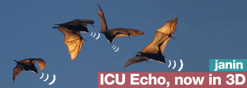 icu echo, now in 3d – by janin
