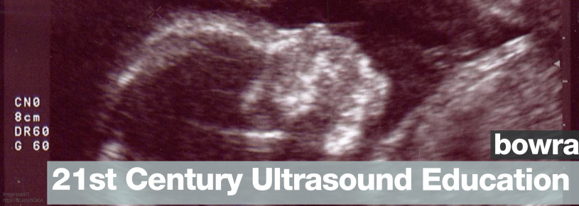 bowra, justin – 21st century ultrasound education