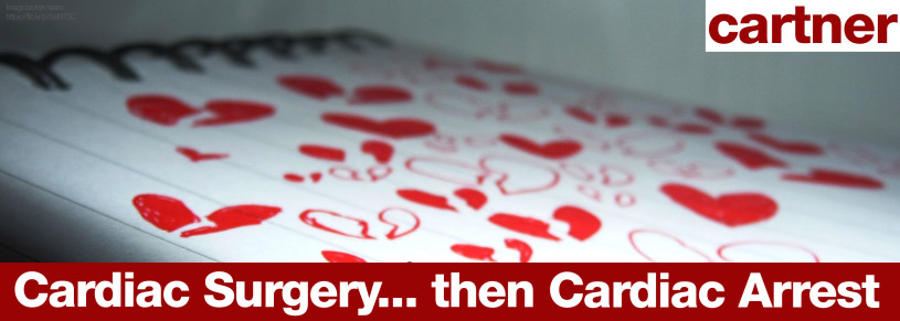 cartner, michaela— cardiac surgery… then cardiac arrest